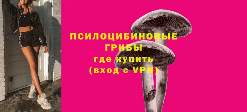 это как зайти  Динская  Псилоцибиновые грибы Psilocybe  магазин продажи  